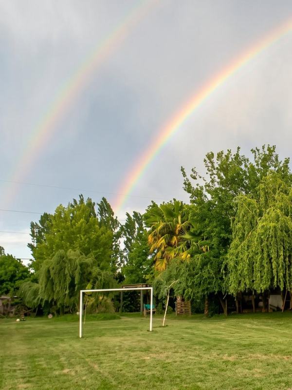 Arcoíris sobre la cancha de fútbol y el parque arbolado