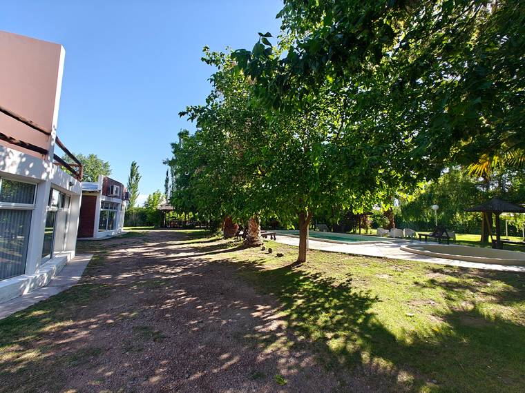 Camino arbolado entre las cabañas y la pileta